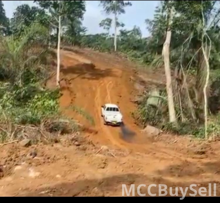 Hot Sale - 35 Hectares of Land, Muea Court Area - Buea