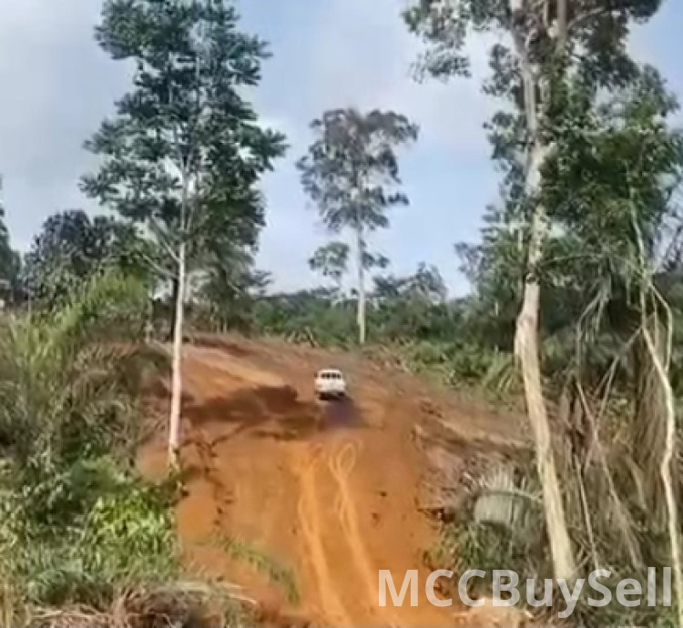 Hot Sale - 35 Hectares of Land, Muea Court Area - Buea