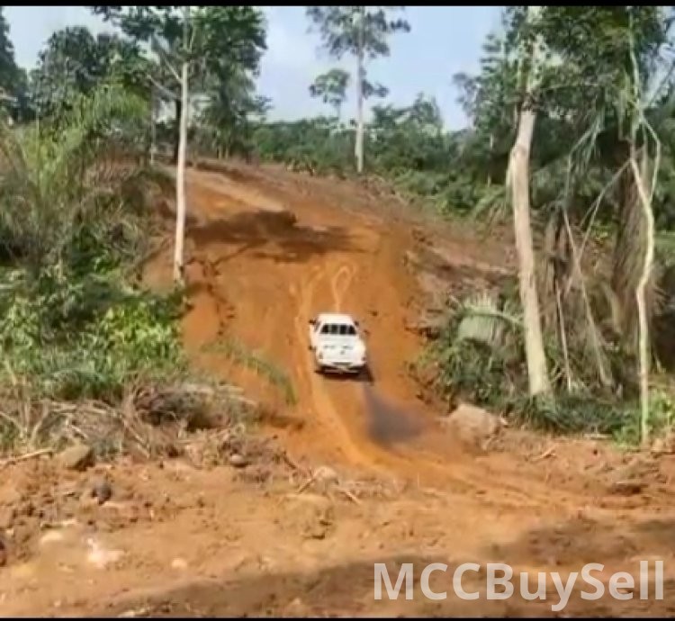 Hot Sale - 35 Hectares of Land, Muea Court Area - Buea