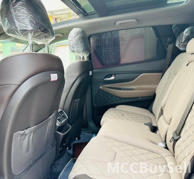 2020 Hyundai Santa Fe For Sale