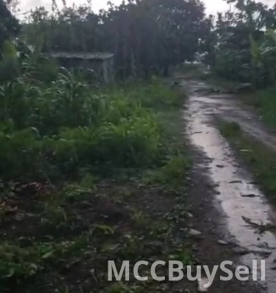 For Sale - Titled Land - Several Plots in Tiko Opposite CKC - Residential, Commercial