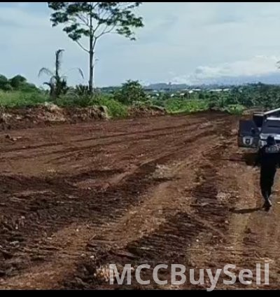 Hot Sale - Titled Land at Boanda, Mile 16 New Layout, Buea