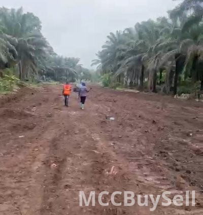 Hot Sale - Titled Land at Boanda, Mile 16 New Layout, Buea 3