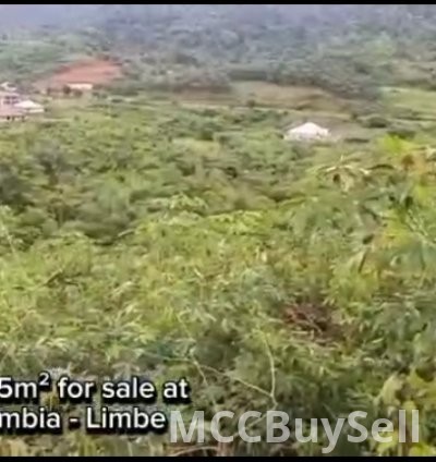 Hot Sale, Titled Land at Bimbia  - Tourist Hub, Near Limbe