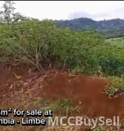 Hot Sale, Titled Land at Bimbia  - Tourist Hub, Near Limbe 3