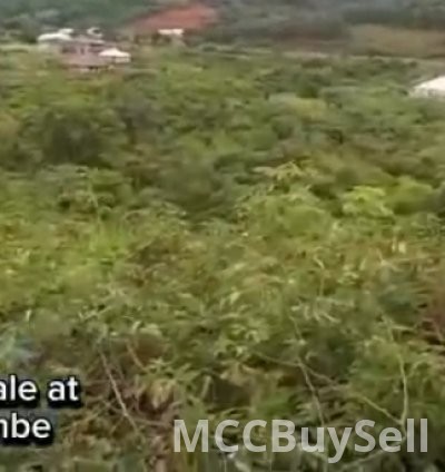 Hot Sale, Titled Land at Bimbia  - Tourist Hub, Near Limbe