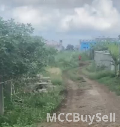 Hot Sale - Titled Land at Molyko New Layout, Buea