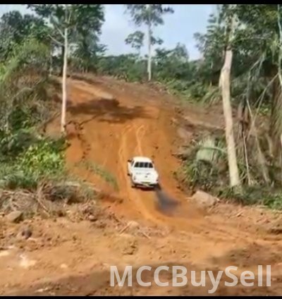 Hot Sale - 35 Hectares of Land, Muea Court Area - Buea 4