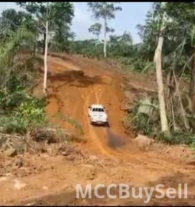 Hot Sale - 35 Hectares of Land, Muea Court Area - Buea