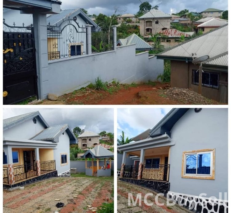 Beautiful House For Sale at Ntahturu.