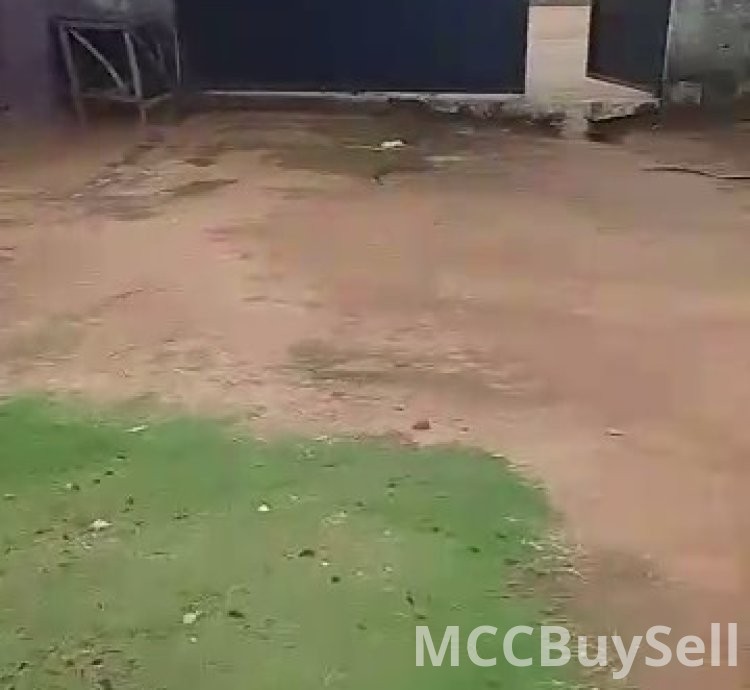 Buy! Modern School Campus in Douala. Excellent Educational Environment.